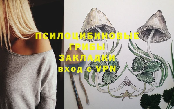 дурь Армянск
