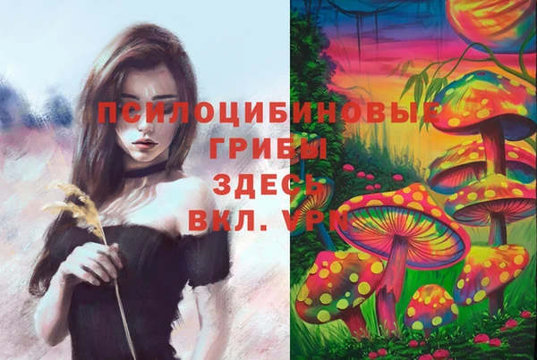 мяу мяу мука Баксан